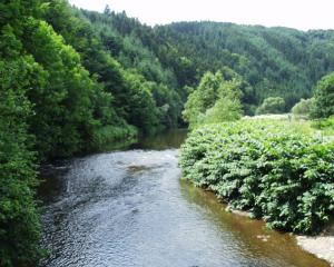 Unberührte Natur im Kylltal Foto: Kylltal